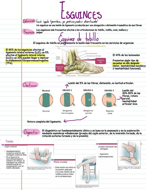 Traumatologia y Ortopedia 32 33