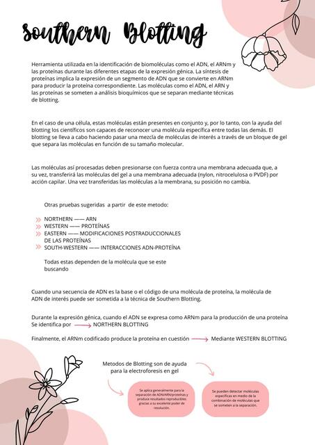 Documento A4 Bloc de Notas Apuntes Minimalista Ver