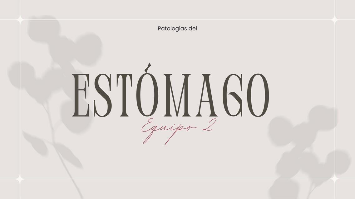 Patologías de estomago equipo 2