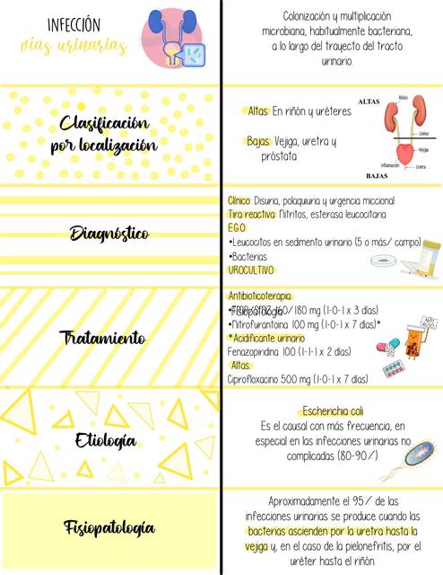 Patologías Genitourinarias