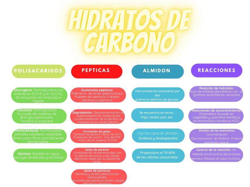 Hidratos de carbono