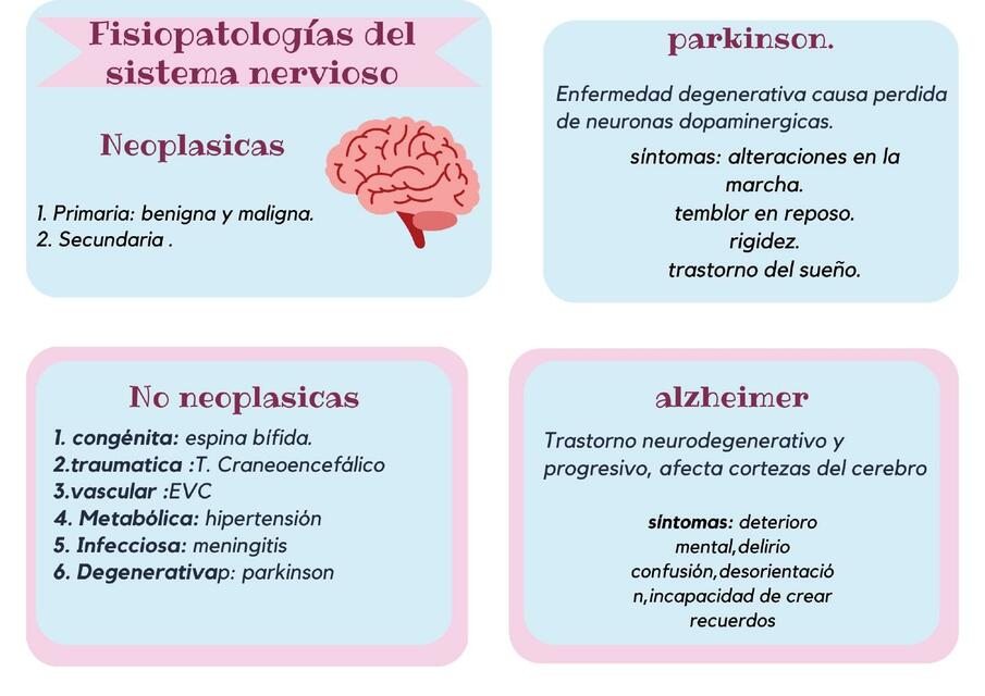 flascard fisio