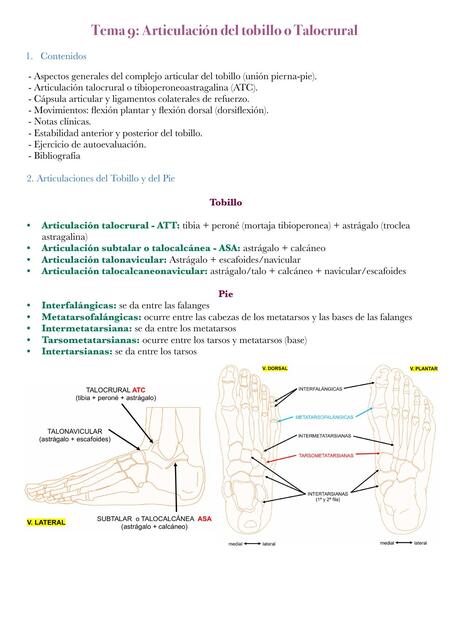 AMI Tema 9