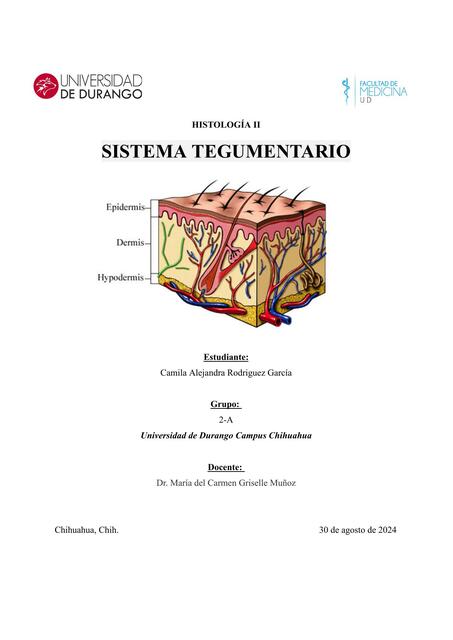 SISTEMA TEGUMENTARIO HISTOLOGÍA ROSS