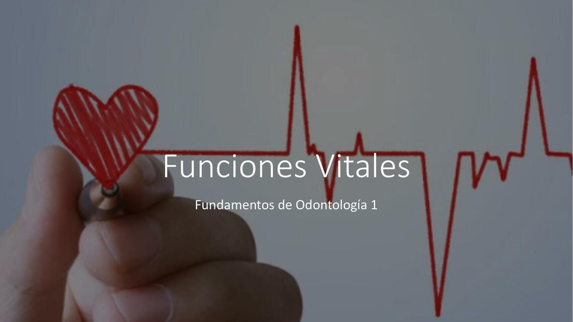 Funciones vitales 2