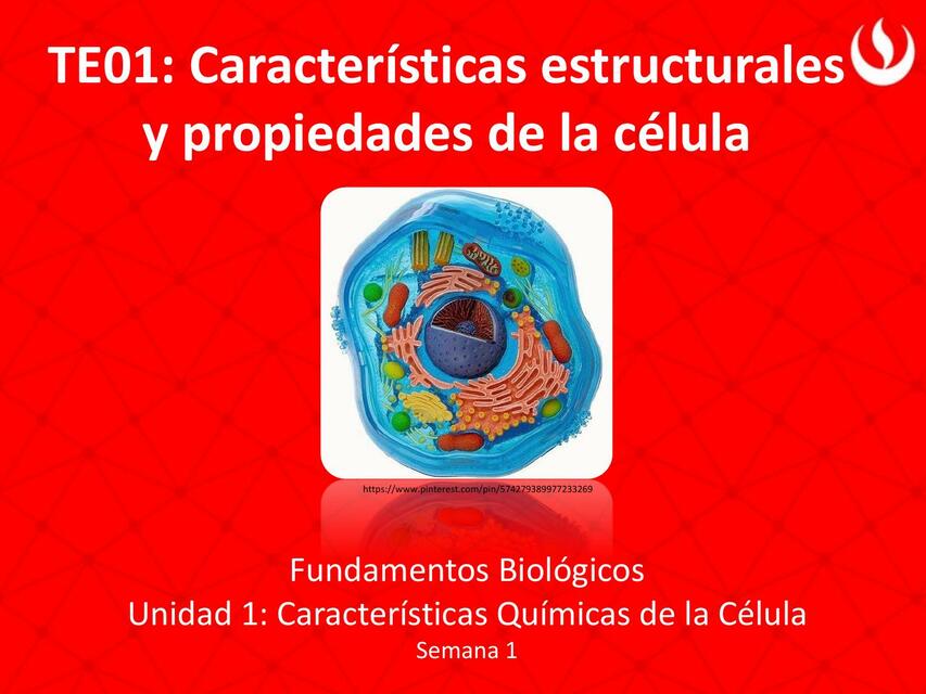 TE01 Características estructurales y propiedades