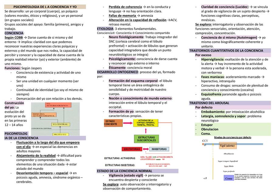 PSICOPATOLOGIA DE L A CONCIENCIA Y YO