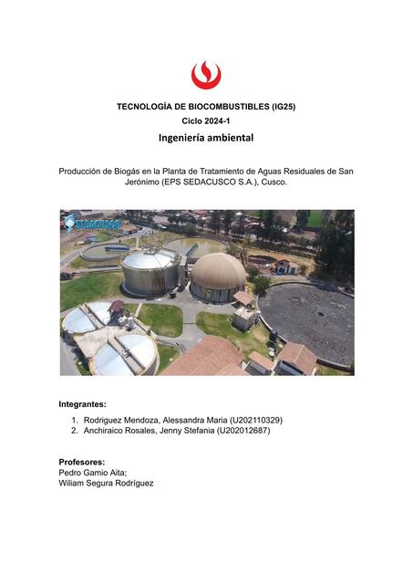 IG25 Tecnologia de Biocombustibles TF Rodriguez y