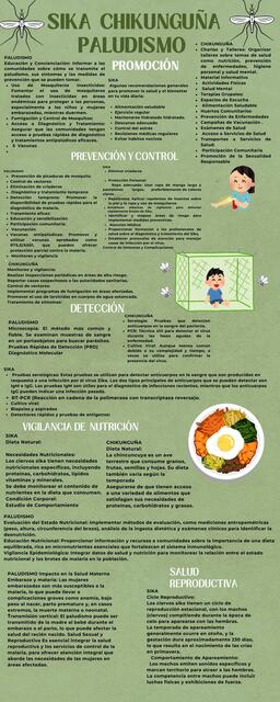 INFOGRAFIA SIKA PALUDISMO