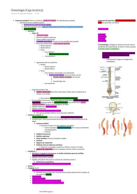 Osteología de la columna vertebral