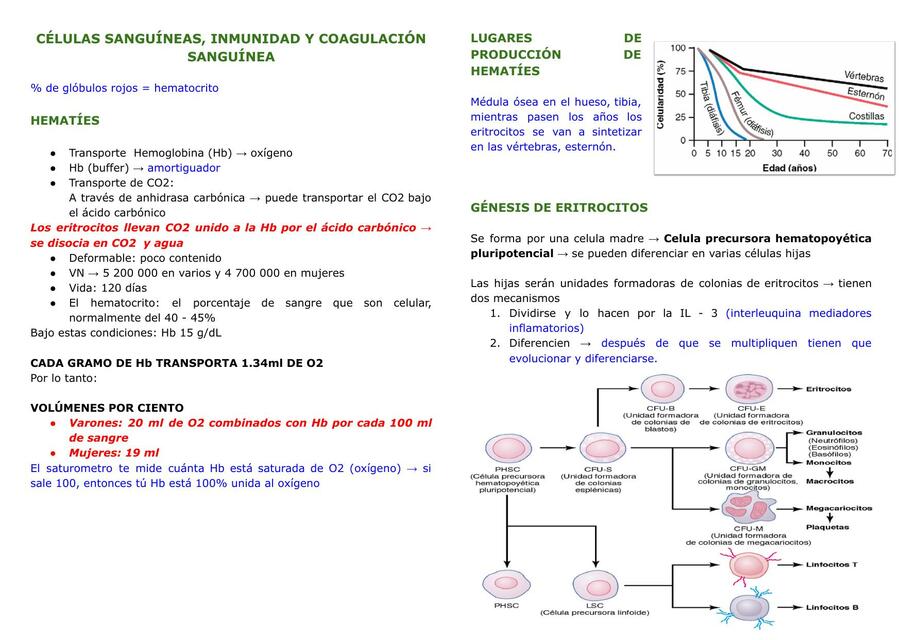 CELULAS SANGUINEAS, INMUNIDAD Y COAGULACION SANGUIN