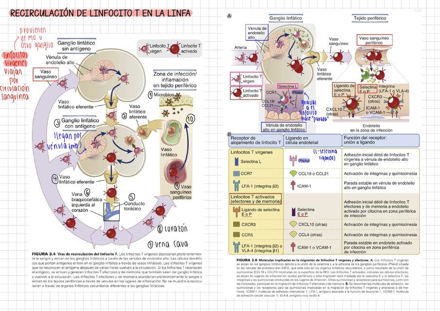 Pregunta 2 1 pdf