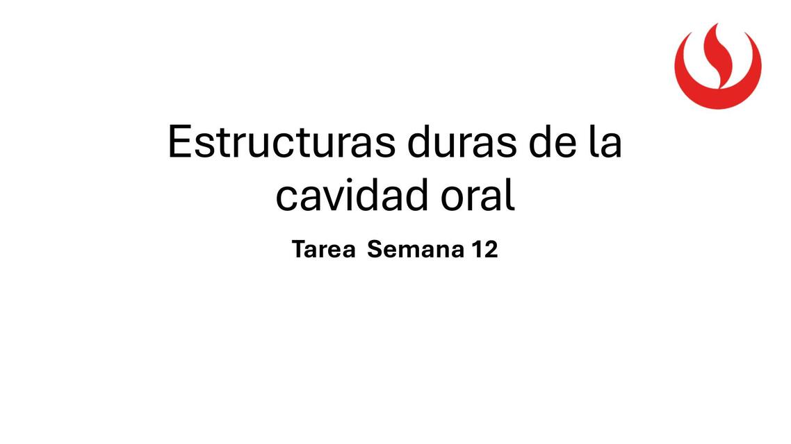 Estructuras duras de la cavidad oral TAREA 12