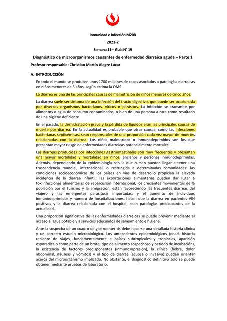 P19 Guia Diagnóstico de microorganismos causantes