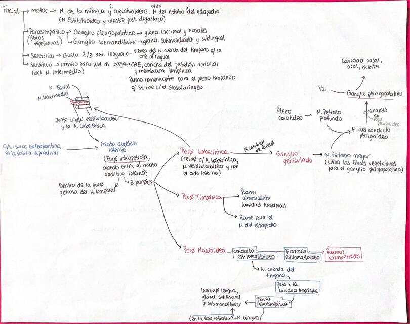 Resumen Nervio Facial PC Vll