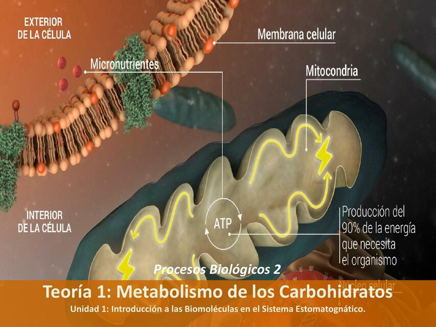 PPT TE03