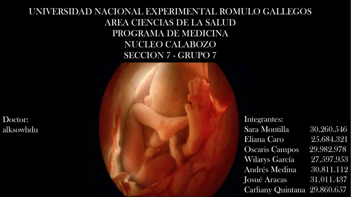 semana 36 de embarazo - embiologia e histologia