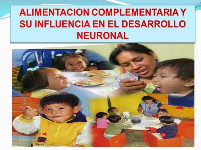 Alimentacion complementaria y su influencia en el