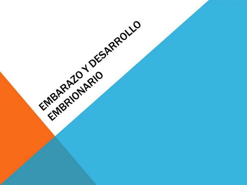 Embarazo y desarrollo embrinario