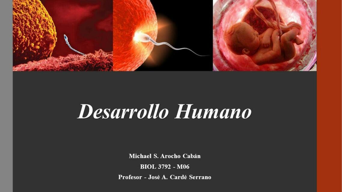 desarrollo humano