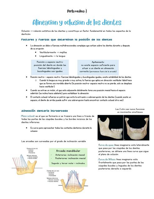 Alineacion y oclusion de los dientes okeson