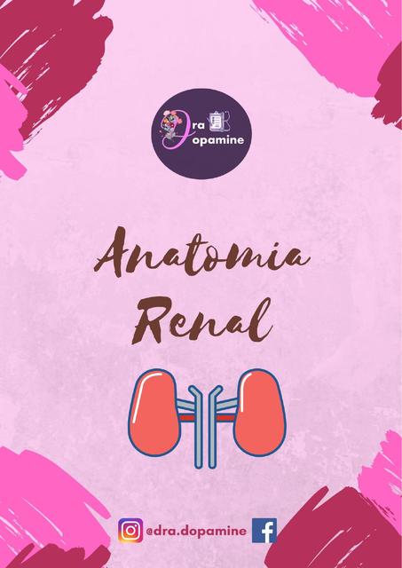 Anatomia Renal - Dra Dopamine