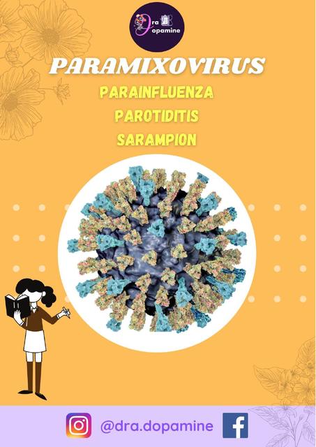 Paramixovirus resumen