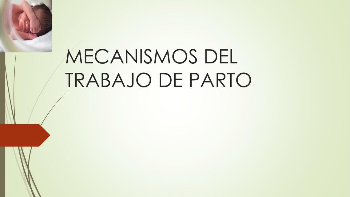 MECANISMOS DEL TRABAJO DE PARTO RIESGO FETAL RIESG