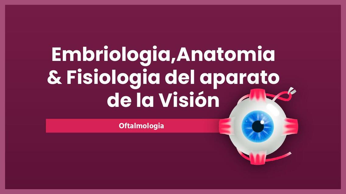 EmbriologiaAnatomia Fisiologia del aparato de la V