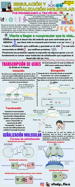 REGULACIÓN MOLECULAR