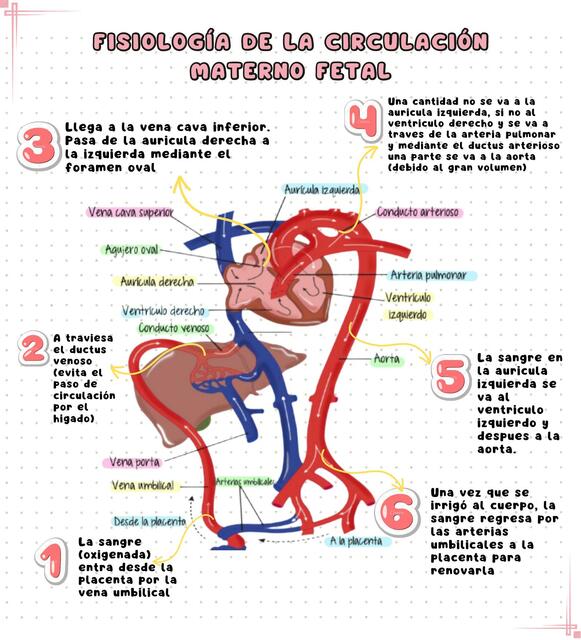 TERCER TRABAJO