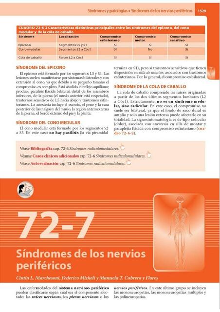 Semiología Médica Fisiopatología Semiotecnia y