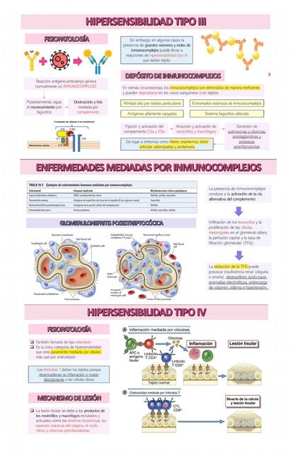 Hipersensibilidad tipo III y IV