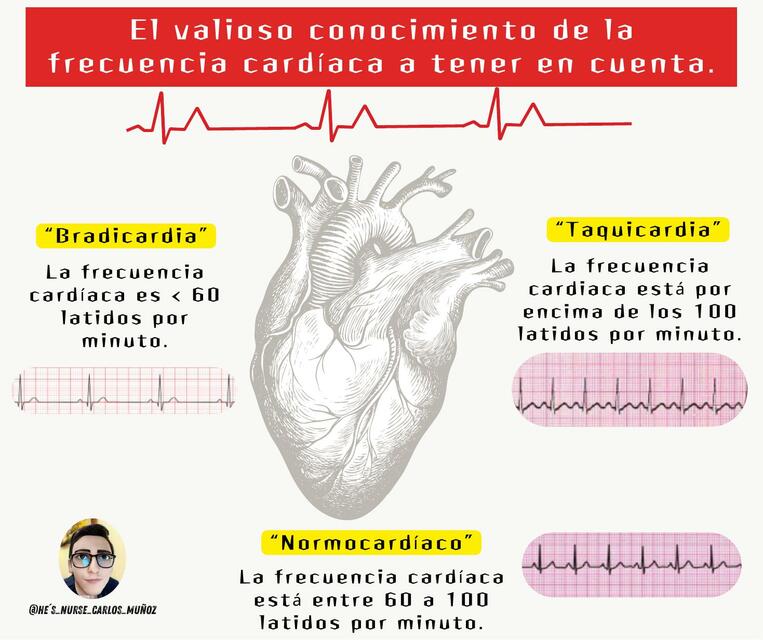 Valores de la frecuencia cardiaca a conocer