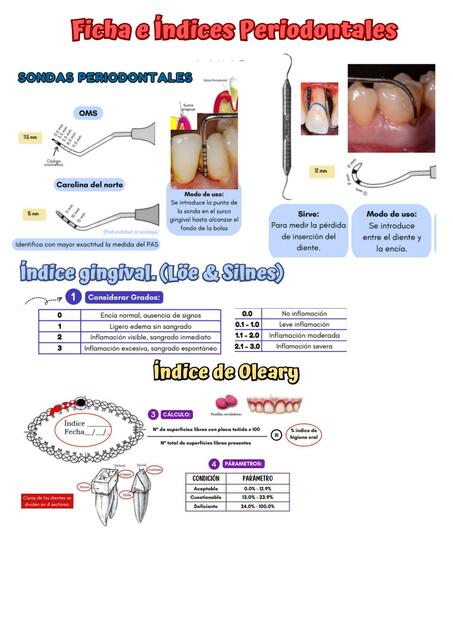 Indice De Oleary Luisa De La Cruz Ramos Udocz