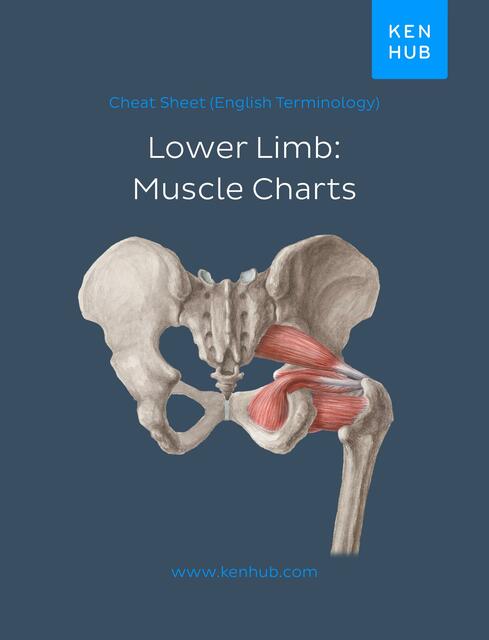 Lower Extremity