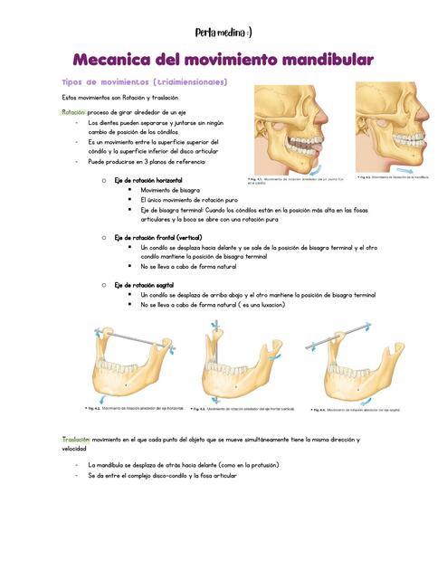 Mecanica del movimiento mandibular - okeson 2020