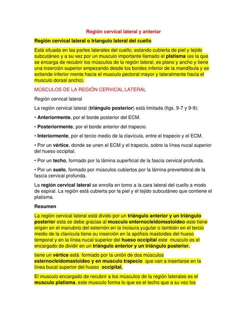 Región cervical lateral y anterior