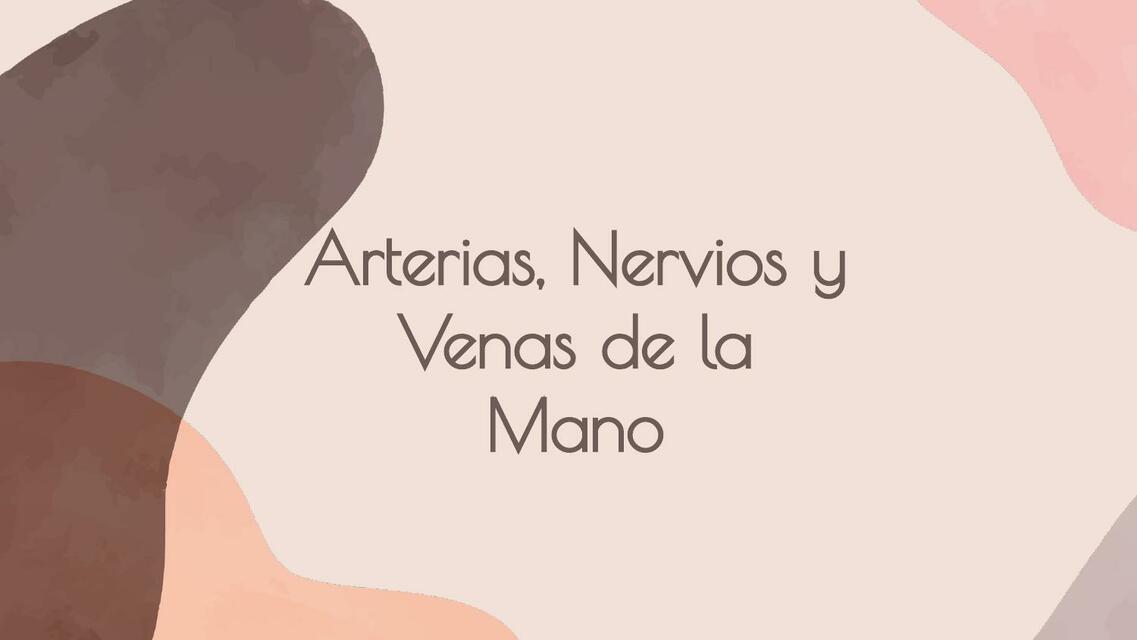 Arterias Nervios y mano