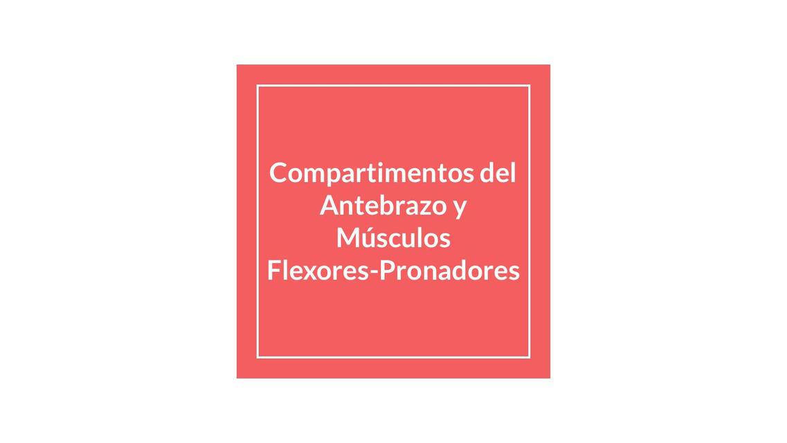 Compartimentos del antebrazo y músculos flexores p