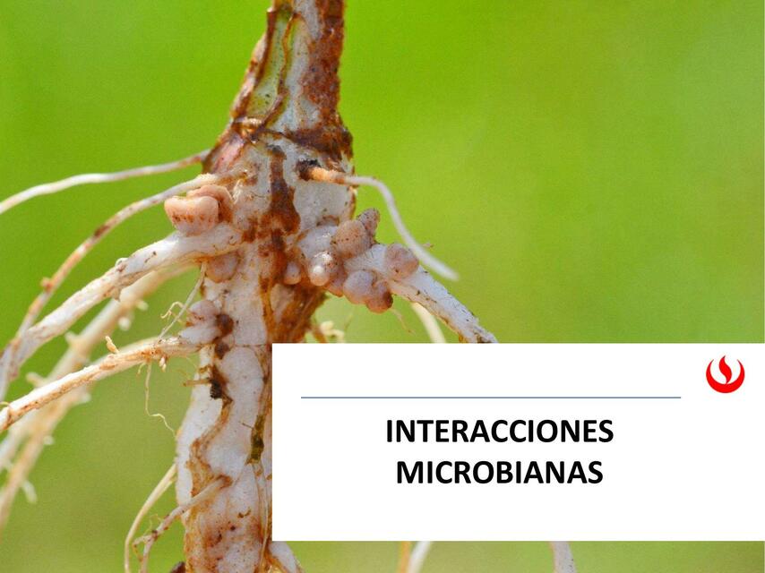 IG01 S11presencial presentacion Interacciones micr