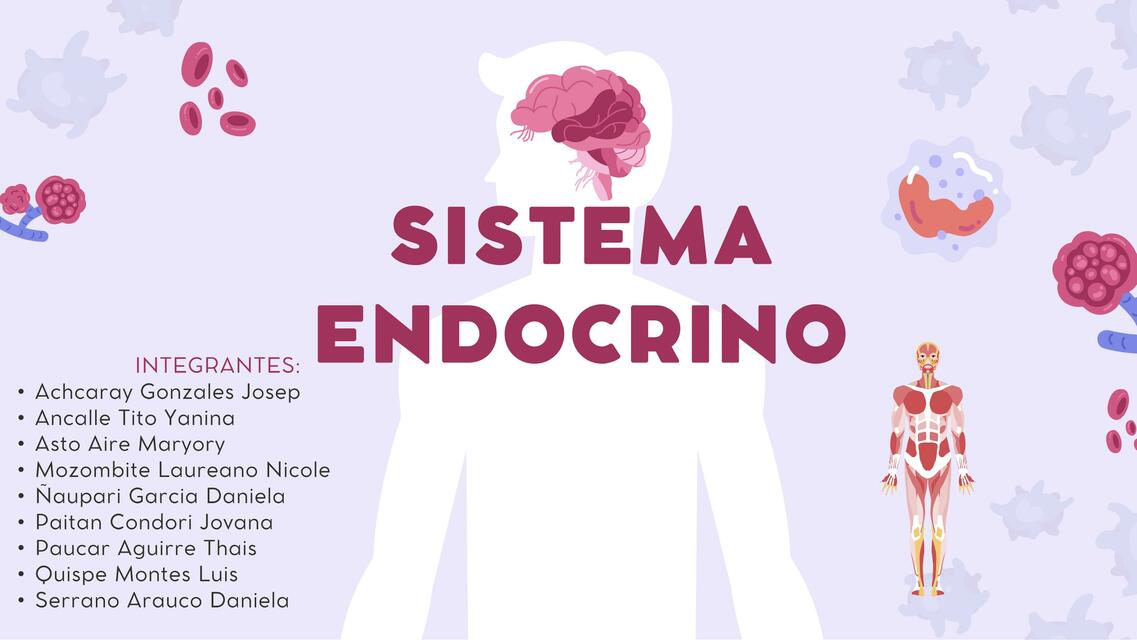 SISTEMA ENDOCRINO