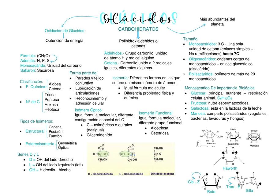 Glúcidos