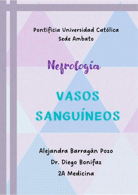 Tarea 8 Vasos Sanguíneos