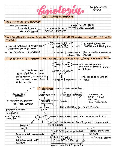 Fisiología de Lactancia Materna