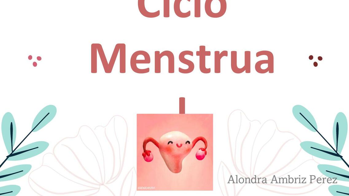 Ciclo menstrual