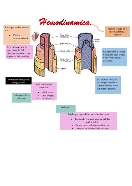 Hemodinamica