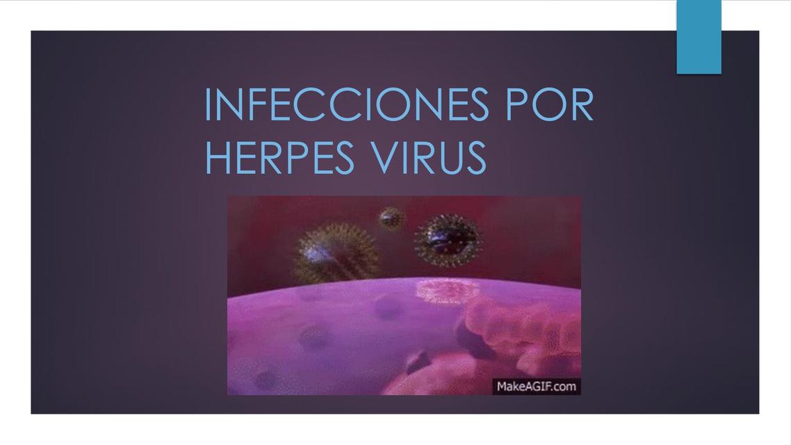 Infecciones por Herpes Virus 