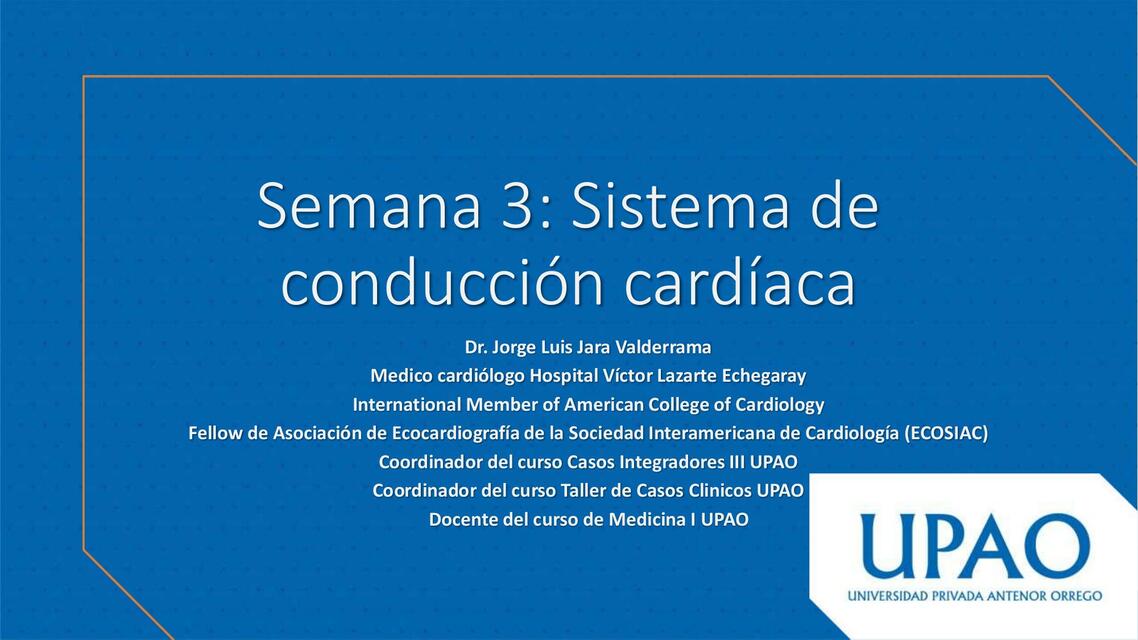 Sistema de conducción cardiaca