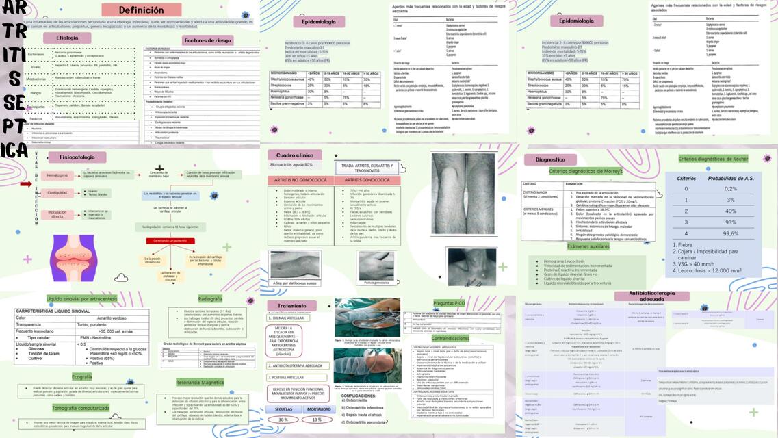 01 a septica 5 DIAPOS CANVA